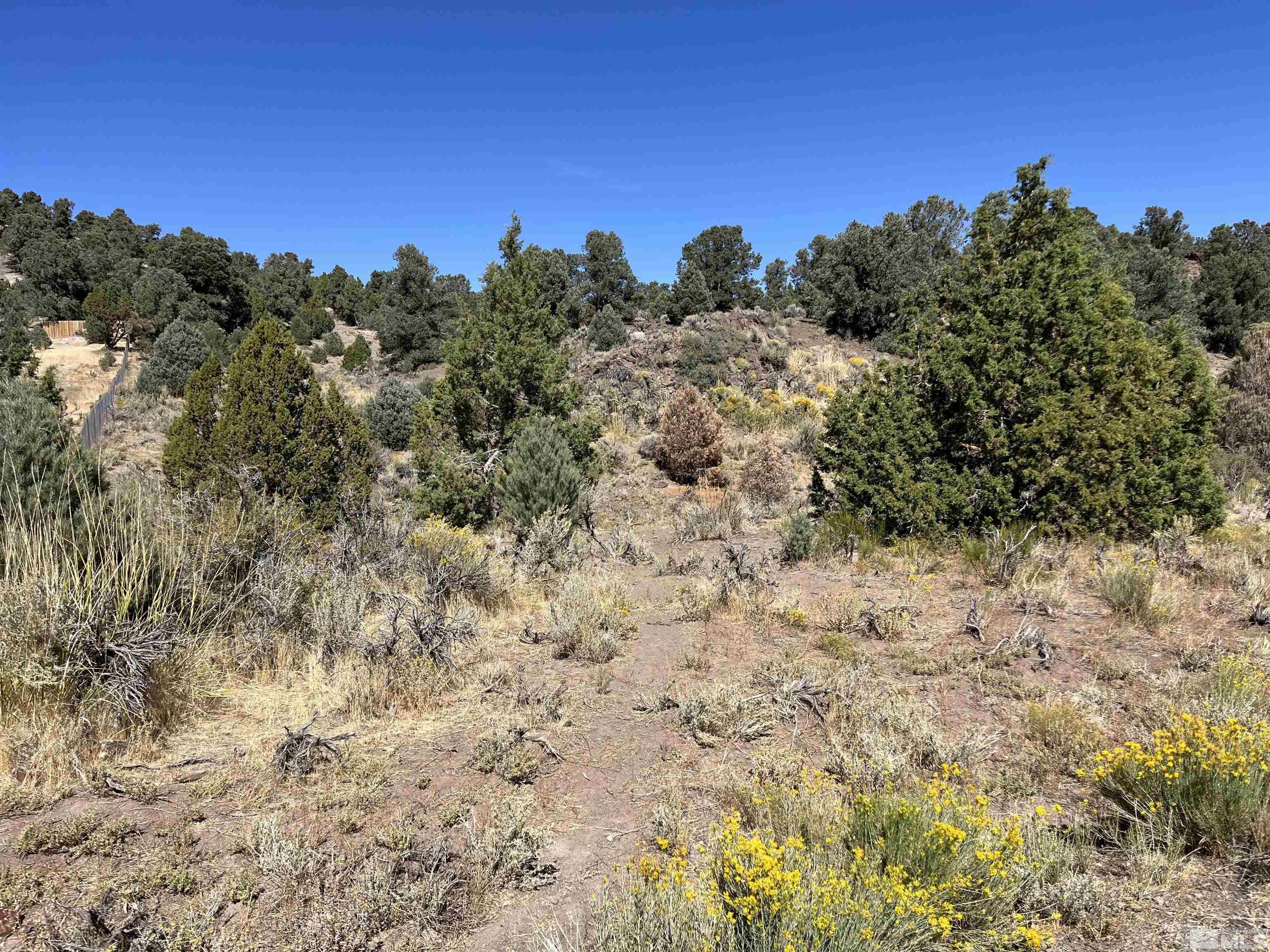 2498 Cartwright Road Reno, NV 89521 - Photo 1 of 2 Photo 1