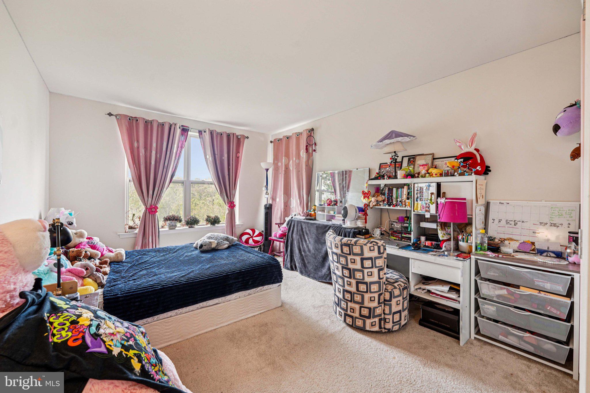 332 Redbud Lane Kennett Square, PA 19348 - Photo 19 of 29 a living room with furniture toys and a window
