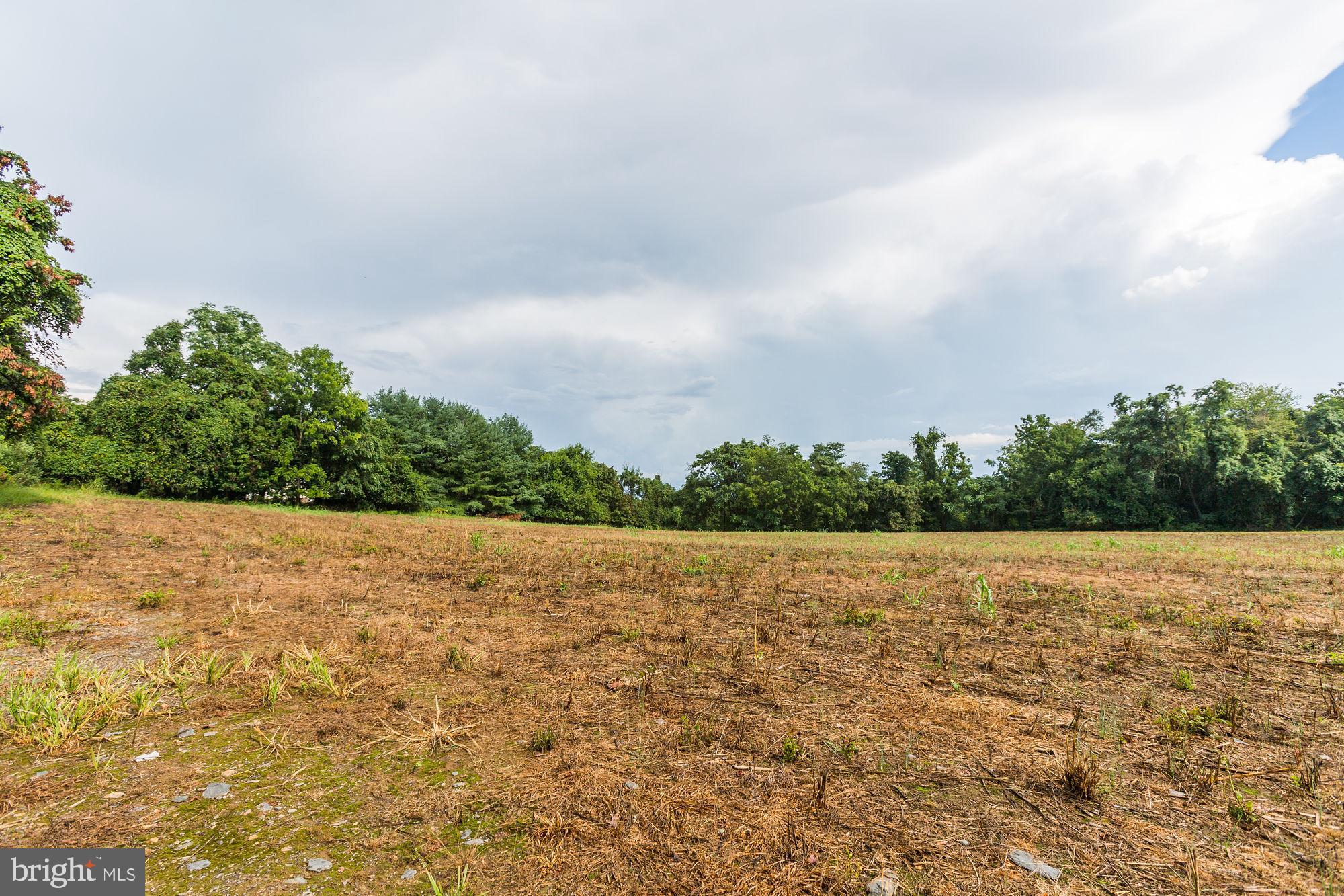 Jones Road Whiteford, MD 21160 - Photo 3 of 30 Gallery Image 3