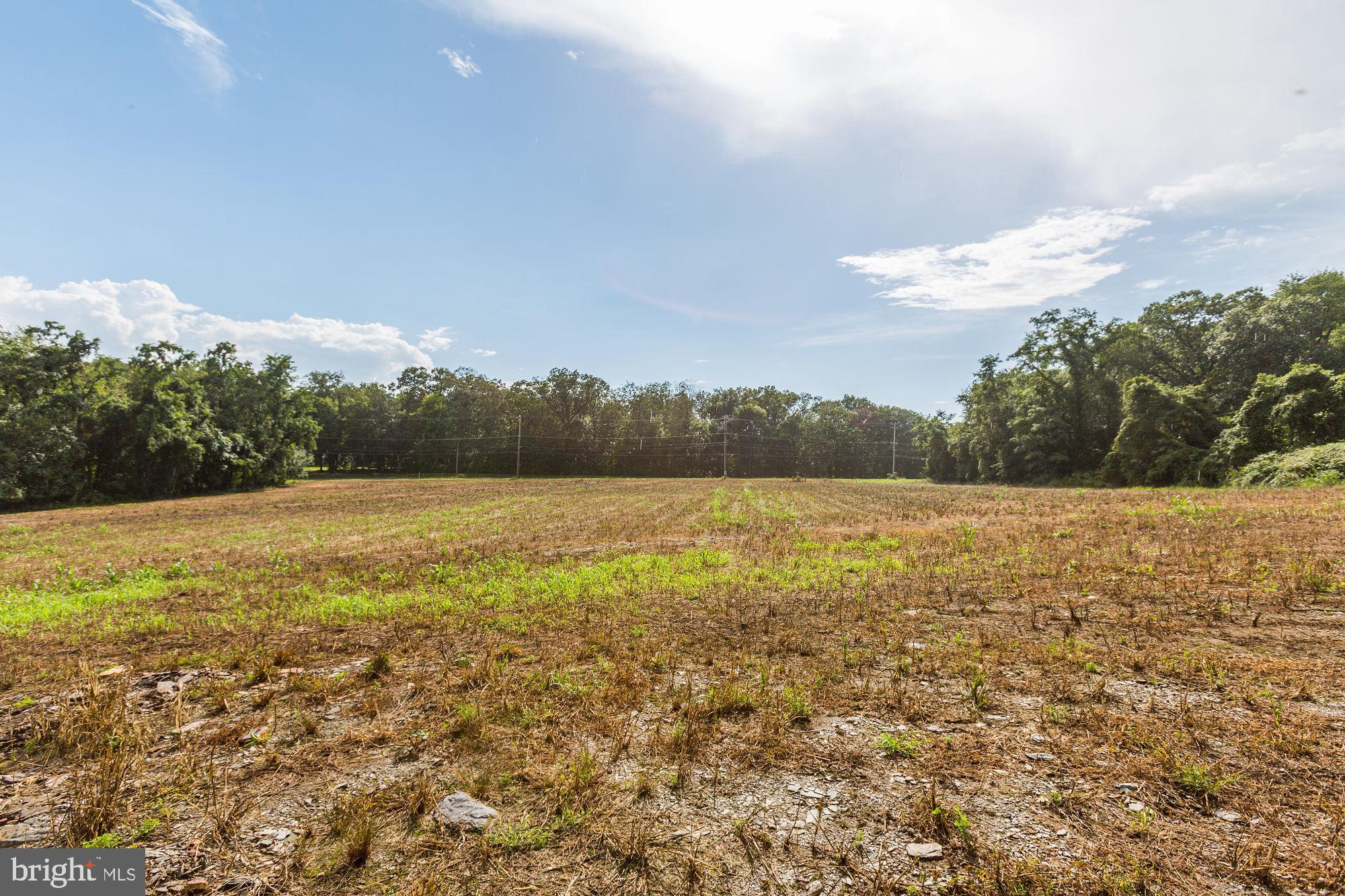 Jones Road Whiteford, MD 21160 - Photo 6 of 30 Gallery Image 6