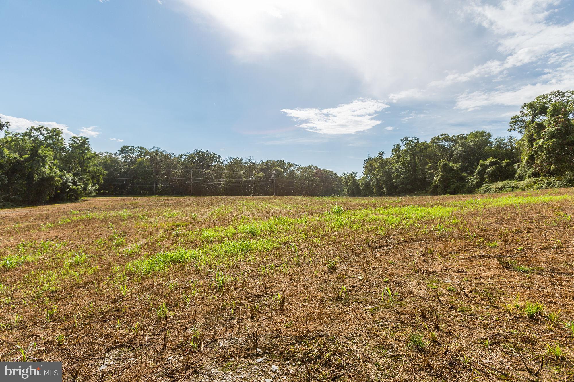 Jones Road Whiteford, MD 21160 - Photo 7 of 30 Gallery Image 7