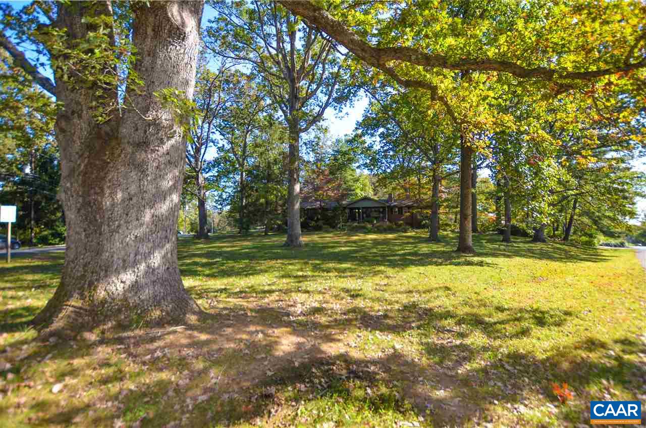 5770 Willow Spring Road Crozet, VA 22932 - Photo 10 of 49 a view of a yard with a tree
