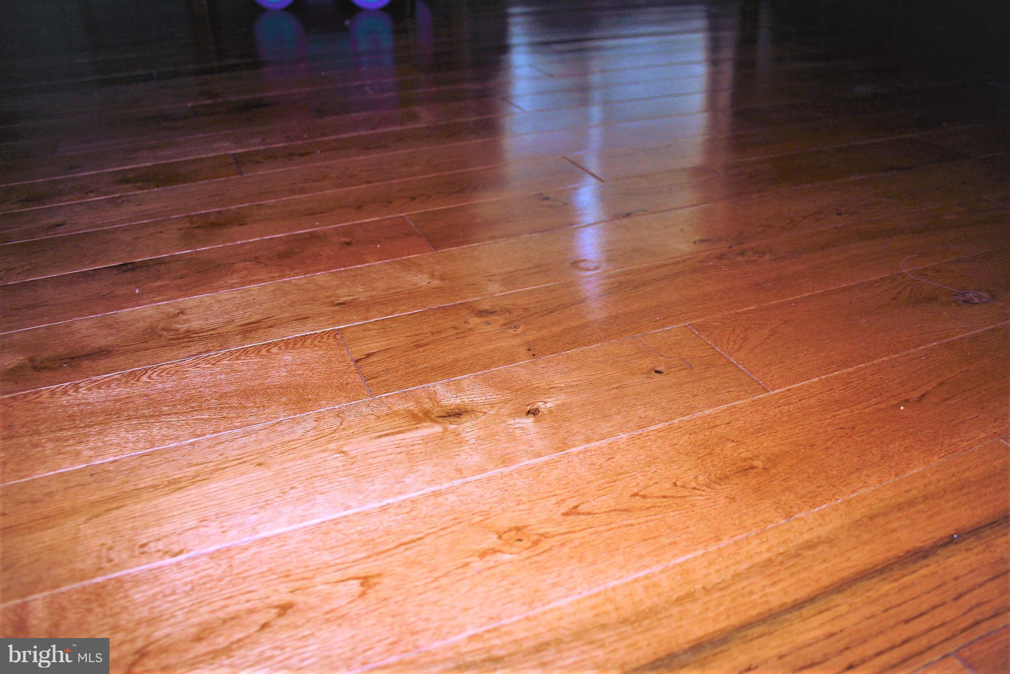 25812 Royal Oak Road Newcomb, MD 21653 - Photo 20 of 25 New Hardwood floors