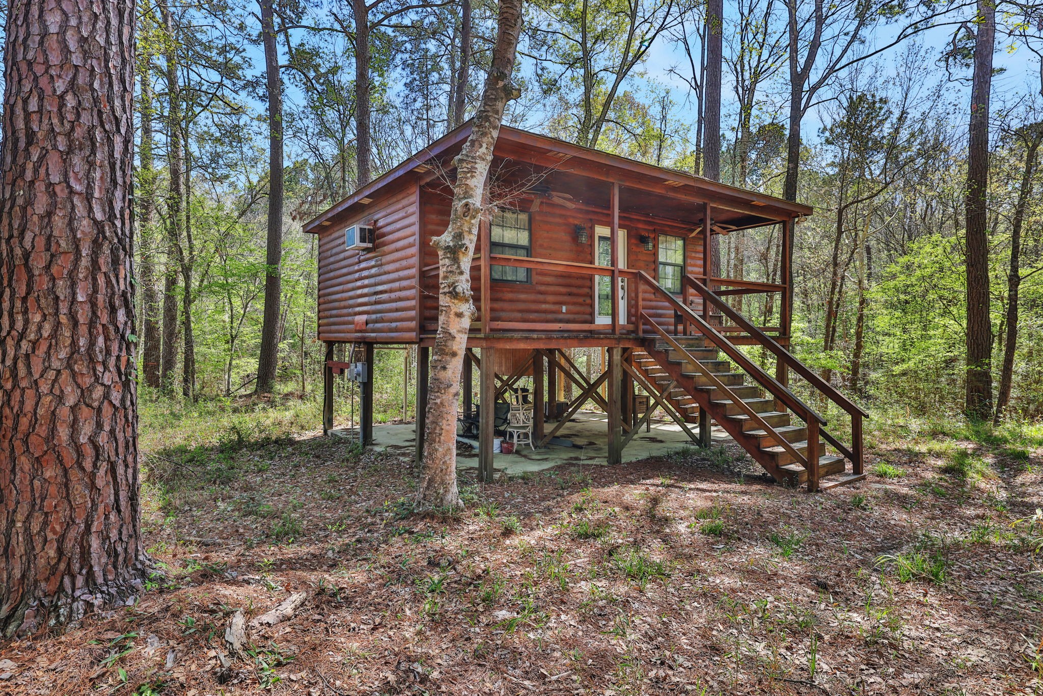 250 Critter Creek Road Coldspring, TX 77331 - Photo 40 of 48 a view of a house with a yard and wooden fence