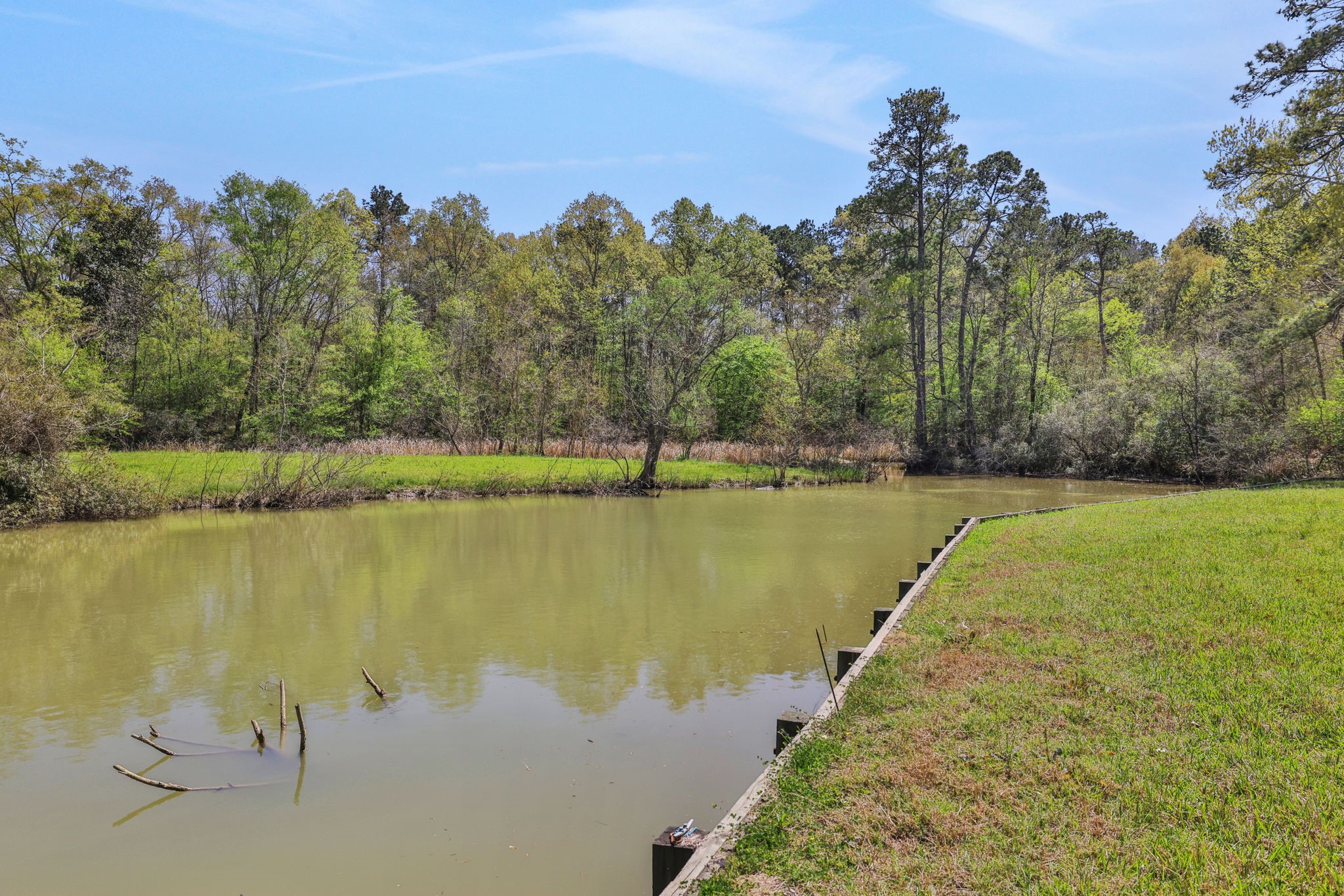 250 Critter Creek Road Coldspring, TX 77331 - Photo 44 of 48 a view of a lake with a yard and trees in the background