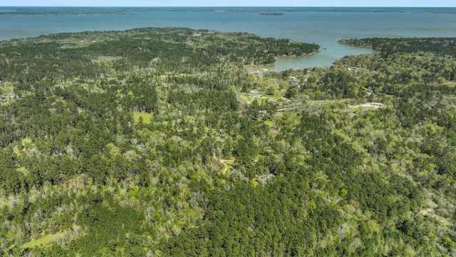 $1,650,000 | 250 Critter Creek Road, Coldspring, TX 77331