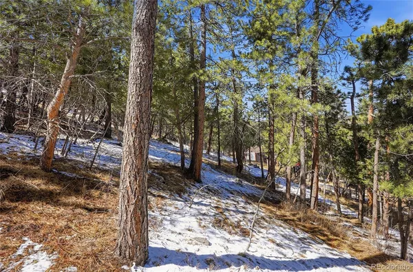 $129,000 | 3025 Yucca Drive, Evergreen, CO 80439