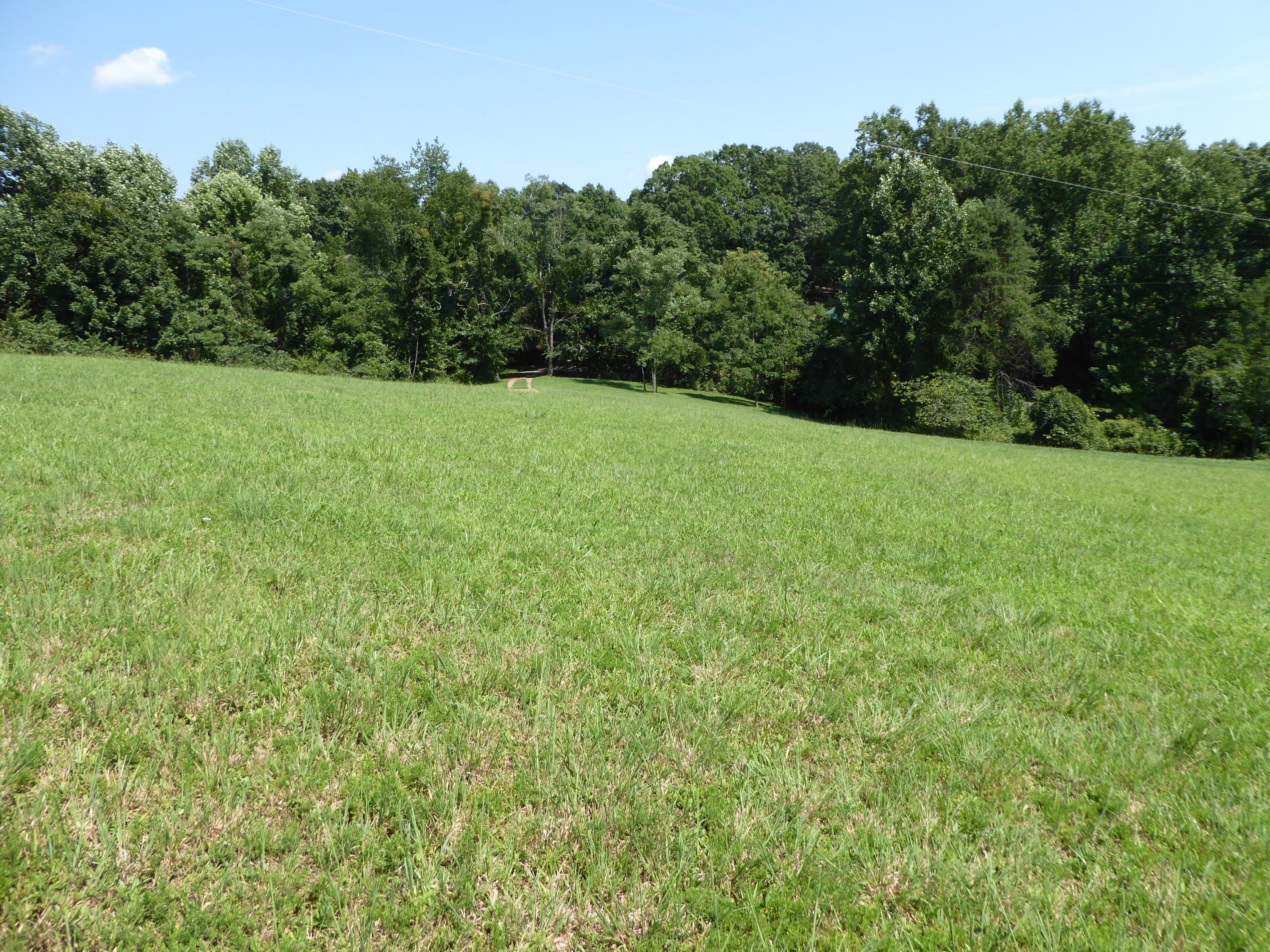 500 Hurds Branch Road Ferrum, VA 24088 - Photo 12 of 60 a view of a green yard with a house in the background