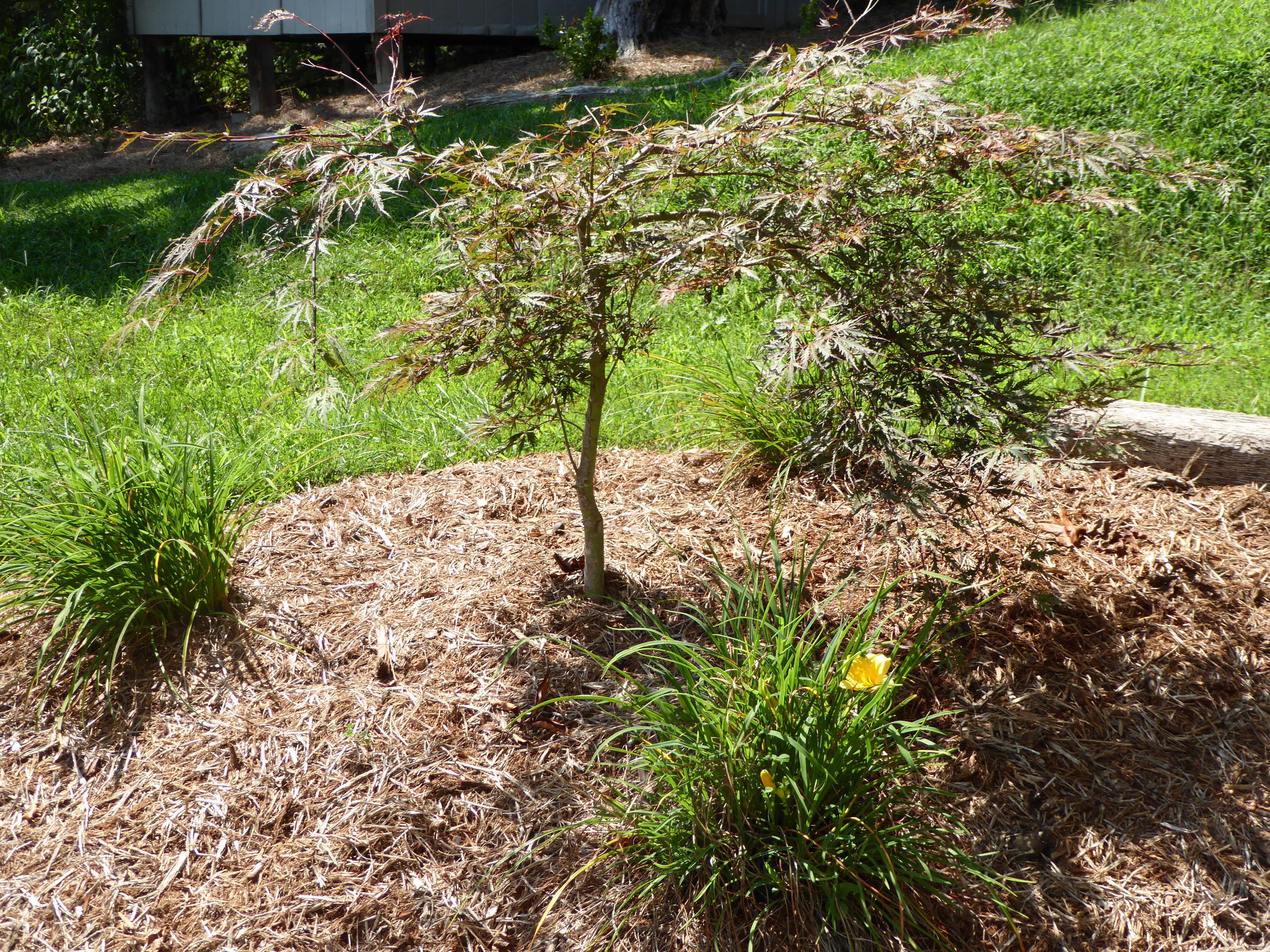 500 Hurds Branch Road Ferrum, VA 24088 - Photo 47 of 60 a backyard of a house with lots of green space