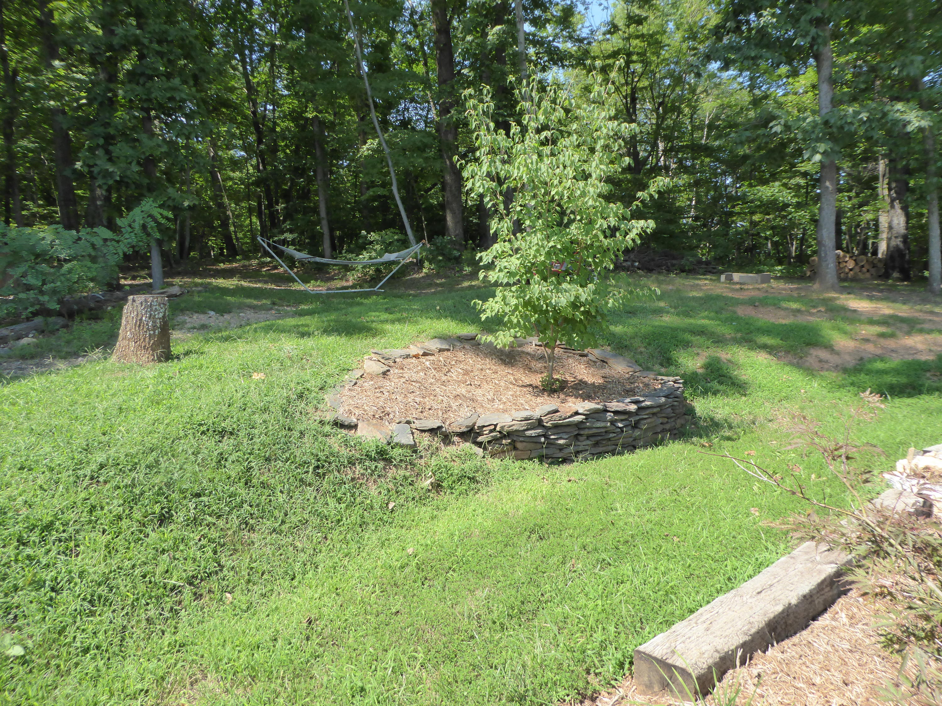 500 Hurds Branch Road Ferrum, VA 24088 - Photo 48 of 60 a backyard of a house with lots of green space