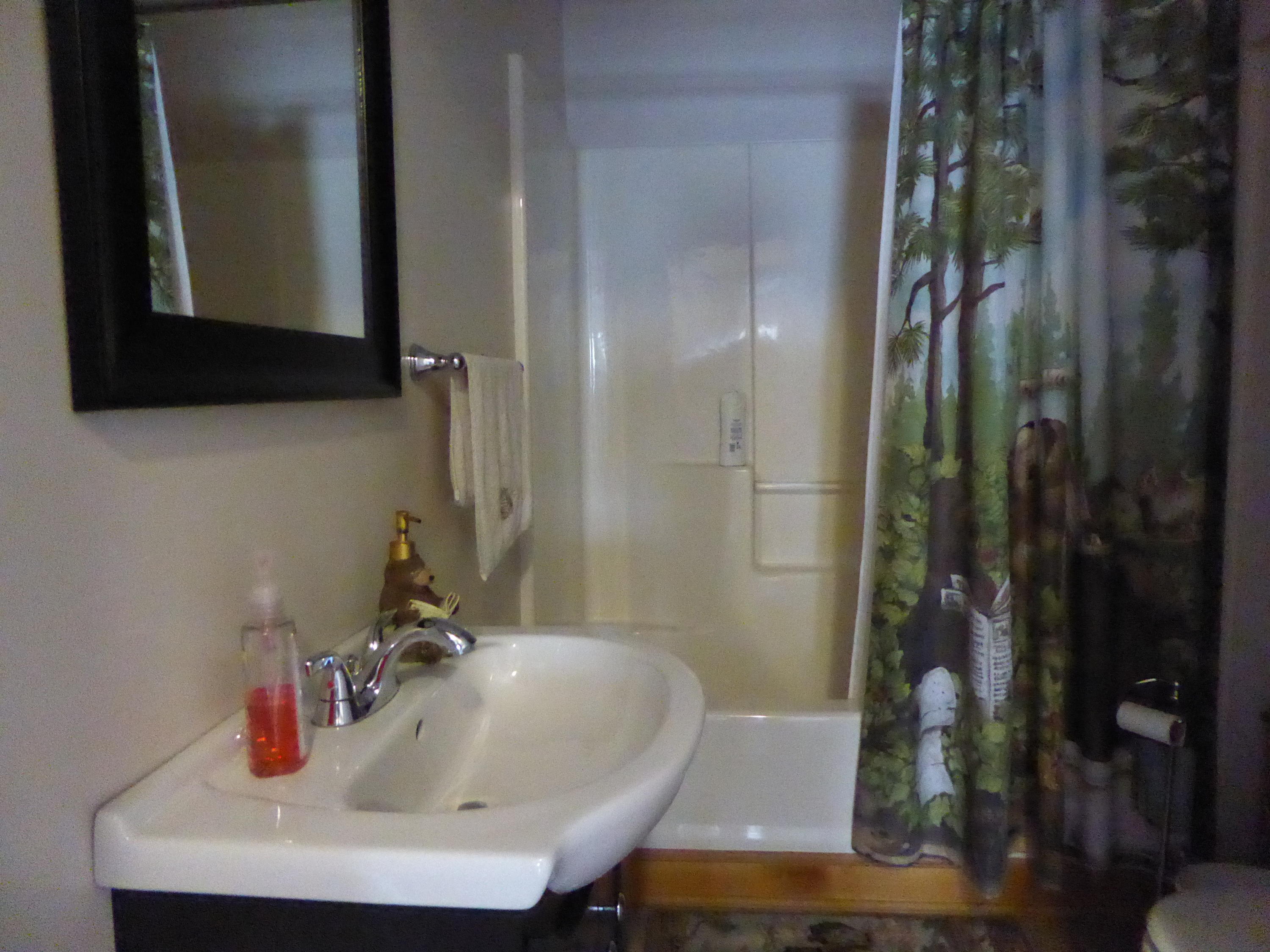 500 Hurds Branch Road Ferrum, VA 24088 - Photo 9 of 60 a bathroom with a sink and a mirror