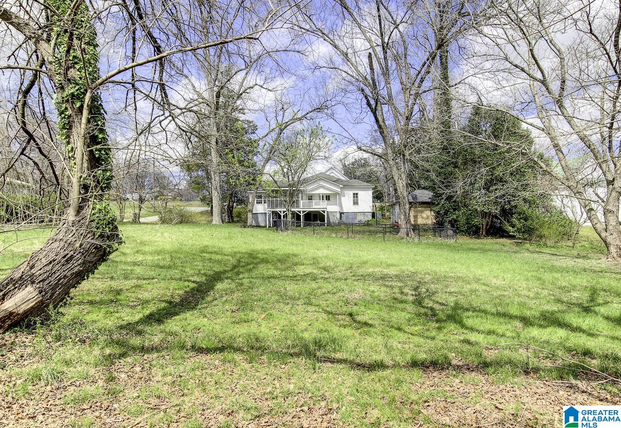219 West Broad Street Wedowee, AL 36278 - Photo 46 of 47