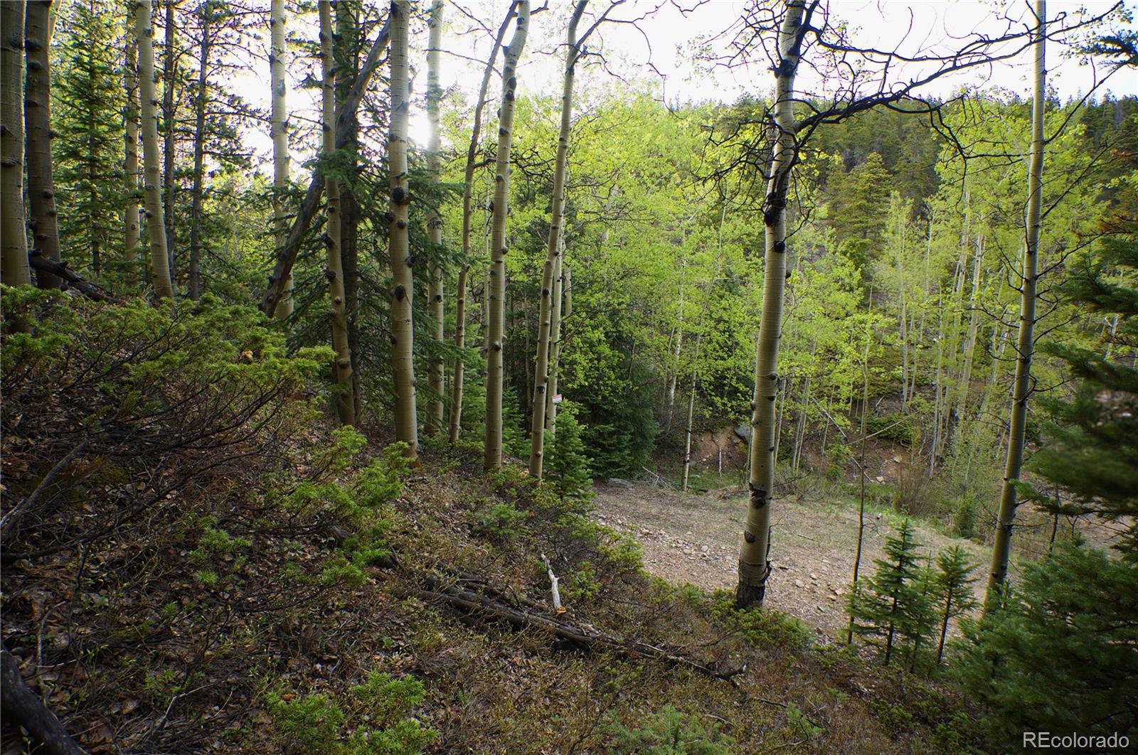 0 Trail Creek Road Idaho Springs, CO 80452 - Photo 10 of 16