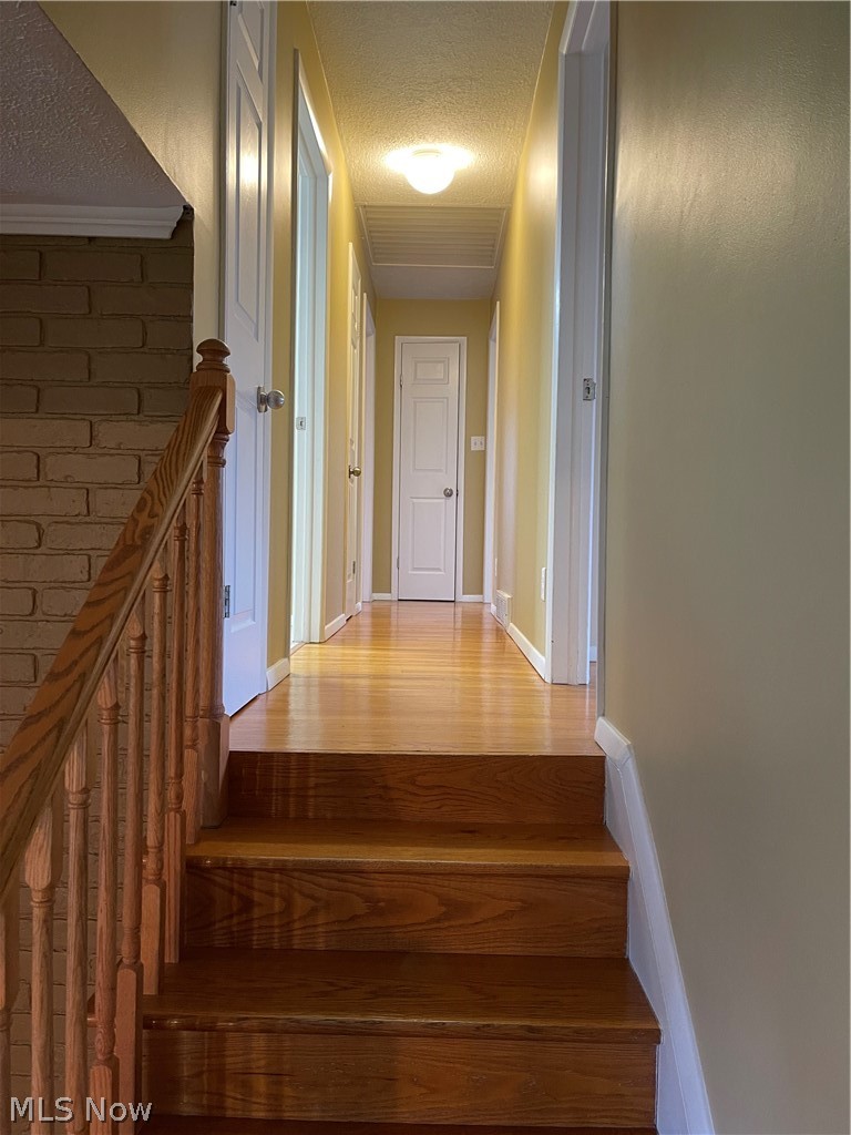 63575 Boyd Ridge Road Bellaire, OH 43906 - Photo 11 of 35 Gallery Image 11