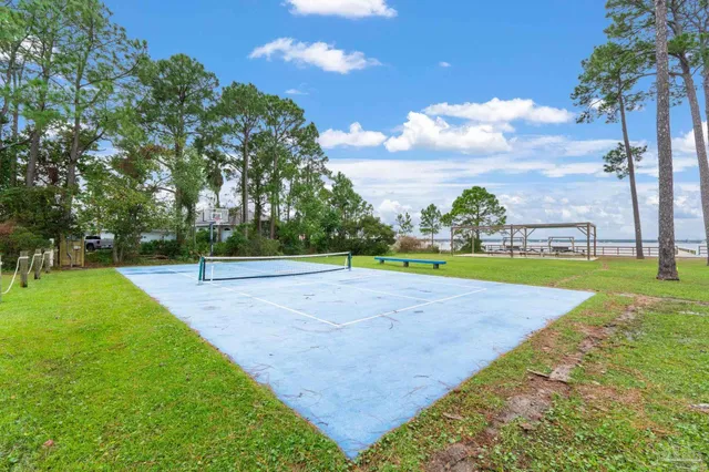 a park with lots of tall trees