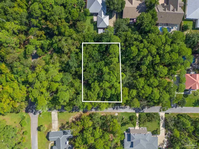 an outdoor view of garden