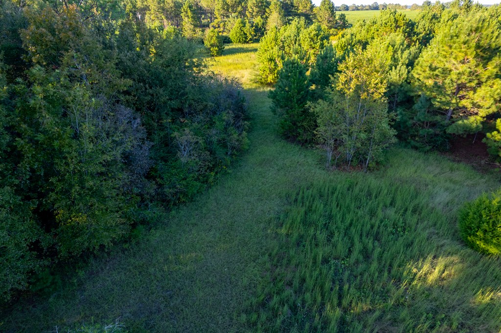 2226 Randall Wade Road Headland, AL 36345 - Photo 29 of 60