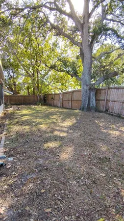 a view of a yard with large trees and wooden fence