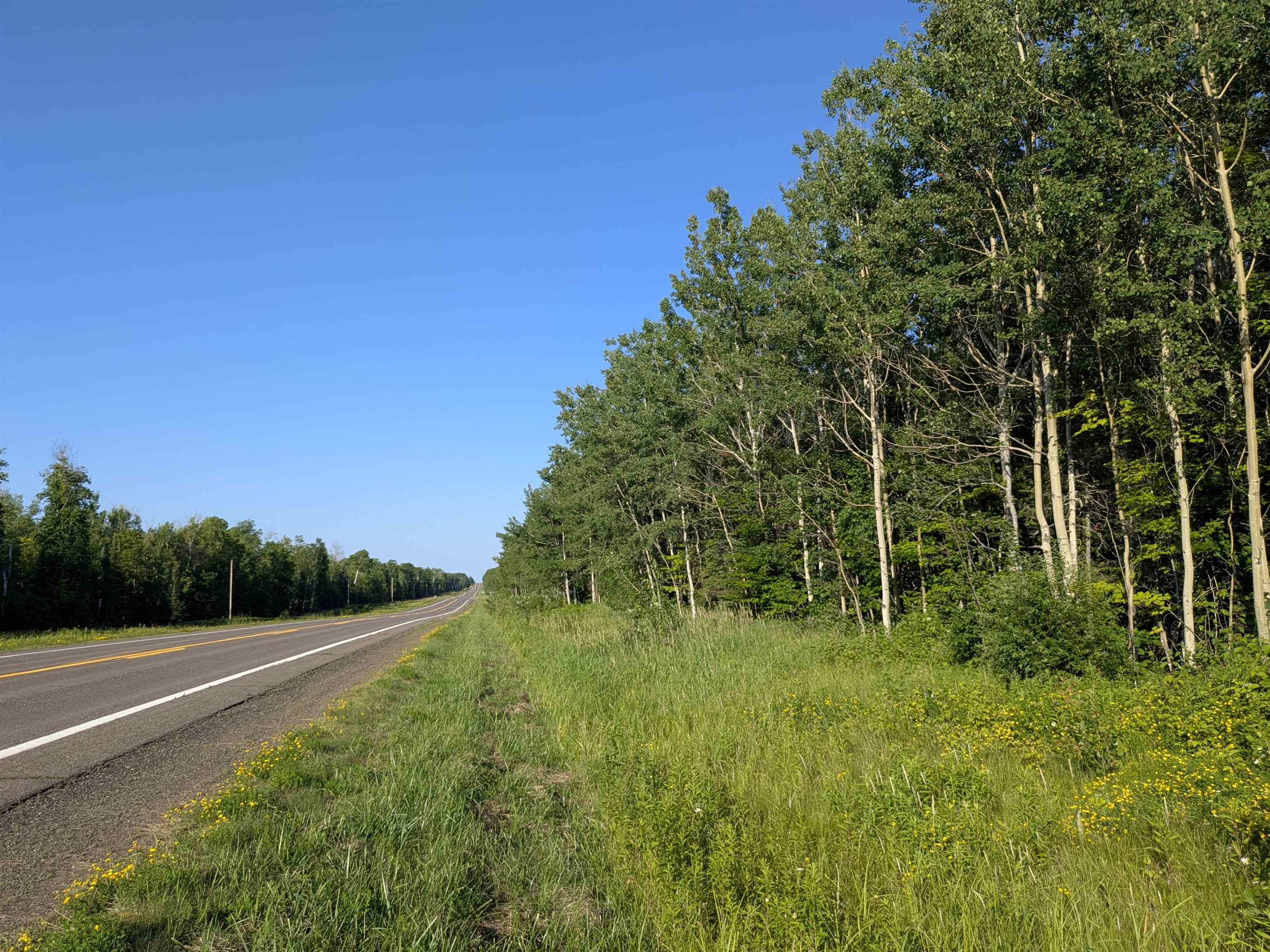 13 State Highway 13 Port Wing, WI 54865 - Photo 1 of 13 View of asphalt road with a view of trees