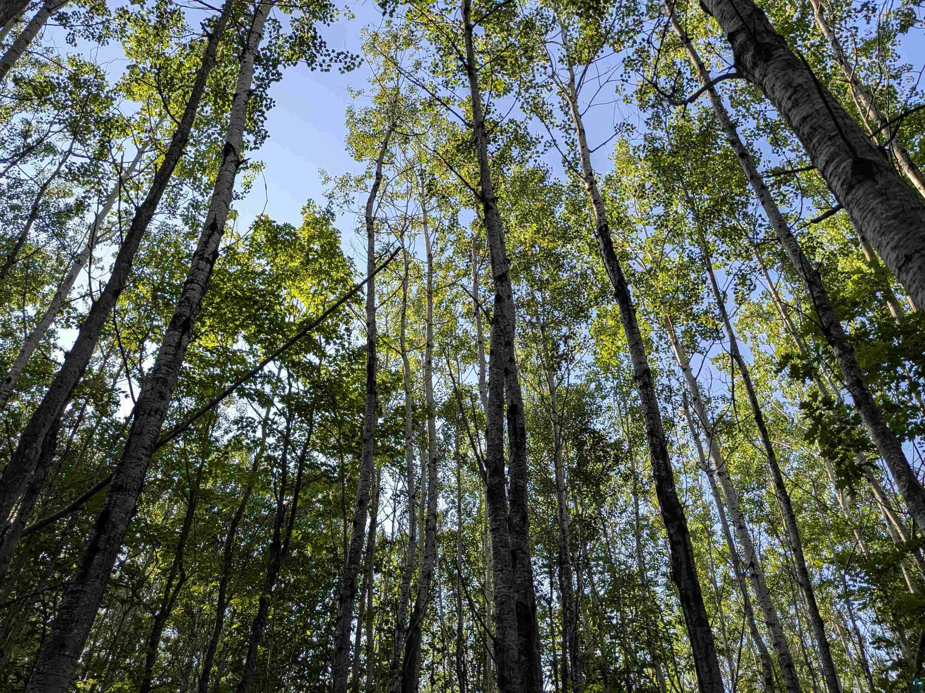 13 State Highway 13 Port Wing, WI 54865 - Photo 12 of 13 Exterior view