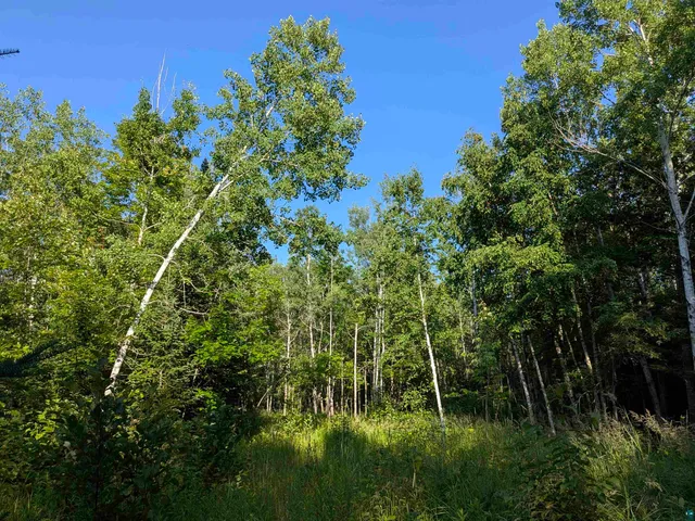 $75,000 | 13 State Highway 13, Port Wing, WI 54865