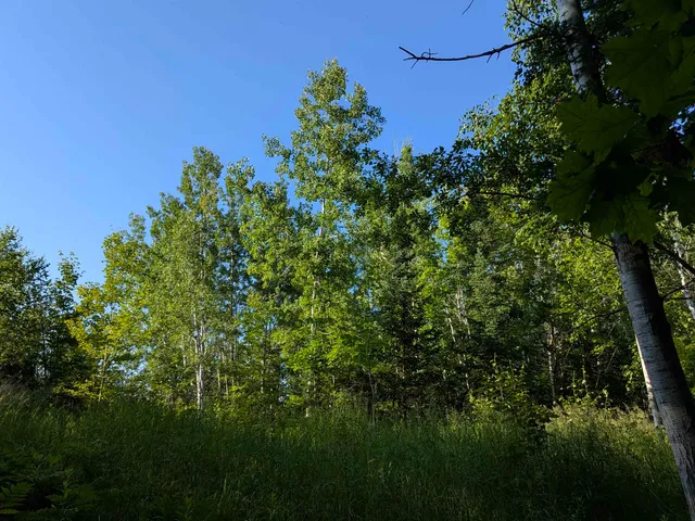 $75,000 | 13 State Highway 13, Port Wing, WI 54865