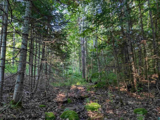 $75,000 | 13 State Highway 13, Port Wing, WI 54865