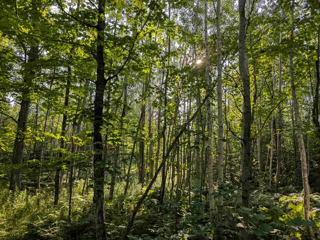 $75,000 | 13 State Highway 13, Port Wing, WI 54865