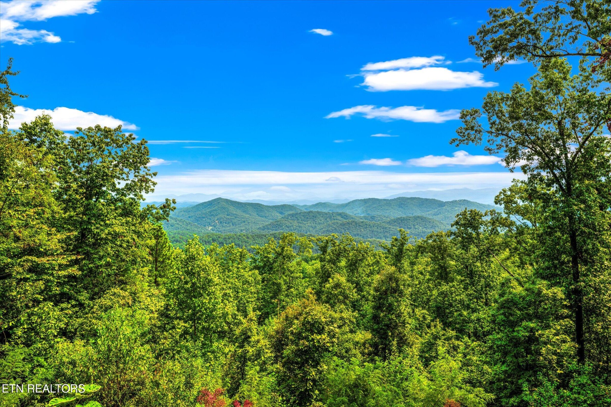 688 Shell Mountain Road Sevierville, TN 37876 - Photo 19 of 43 a view of a green yard