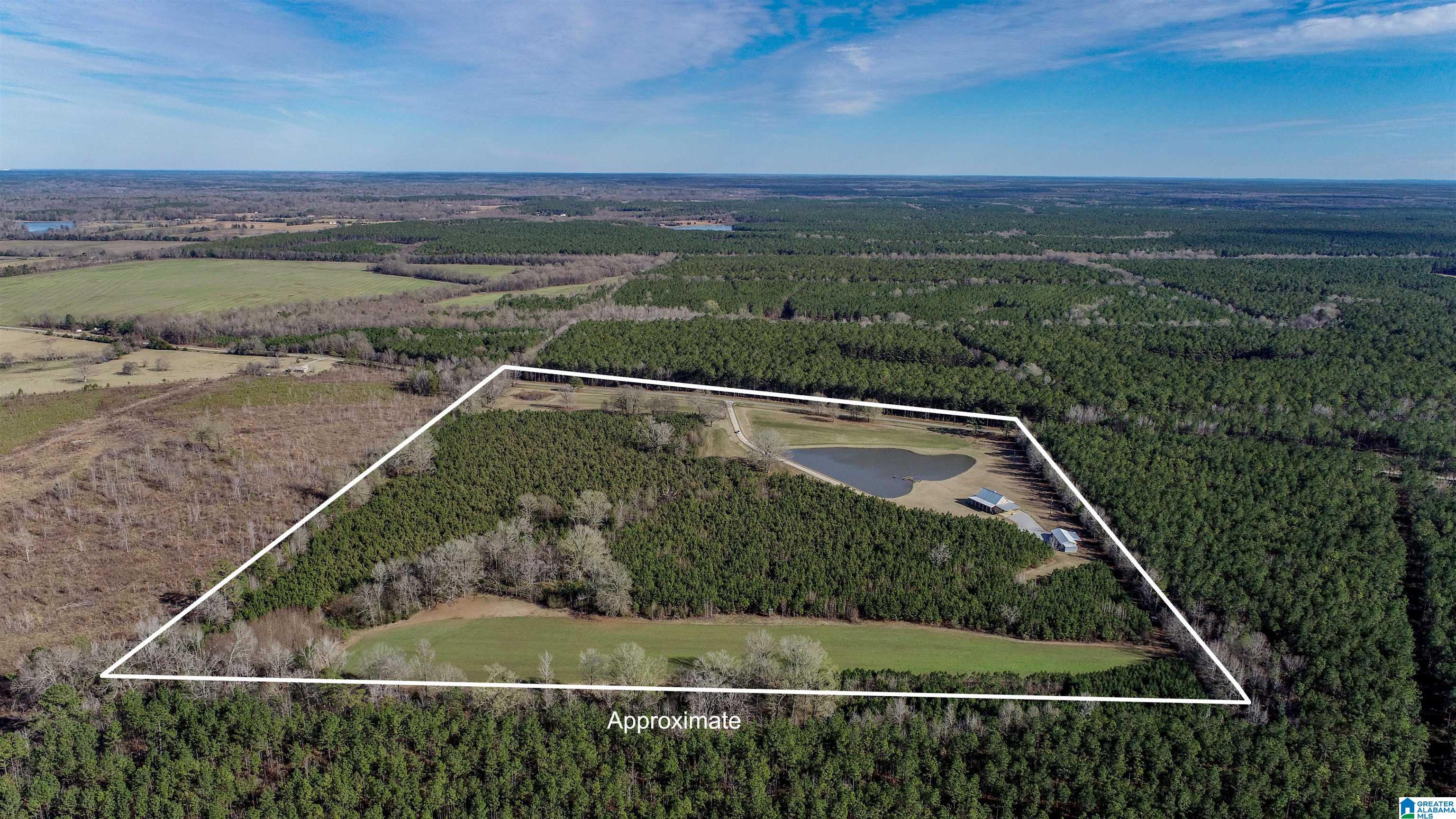 8619 County Road 33 Linden, AL 36748 - Photo 17 of 54
