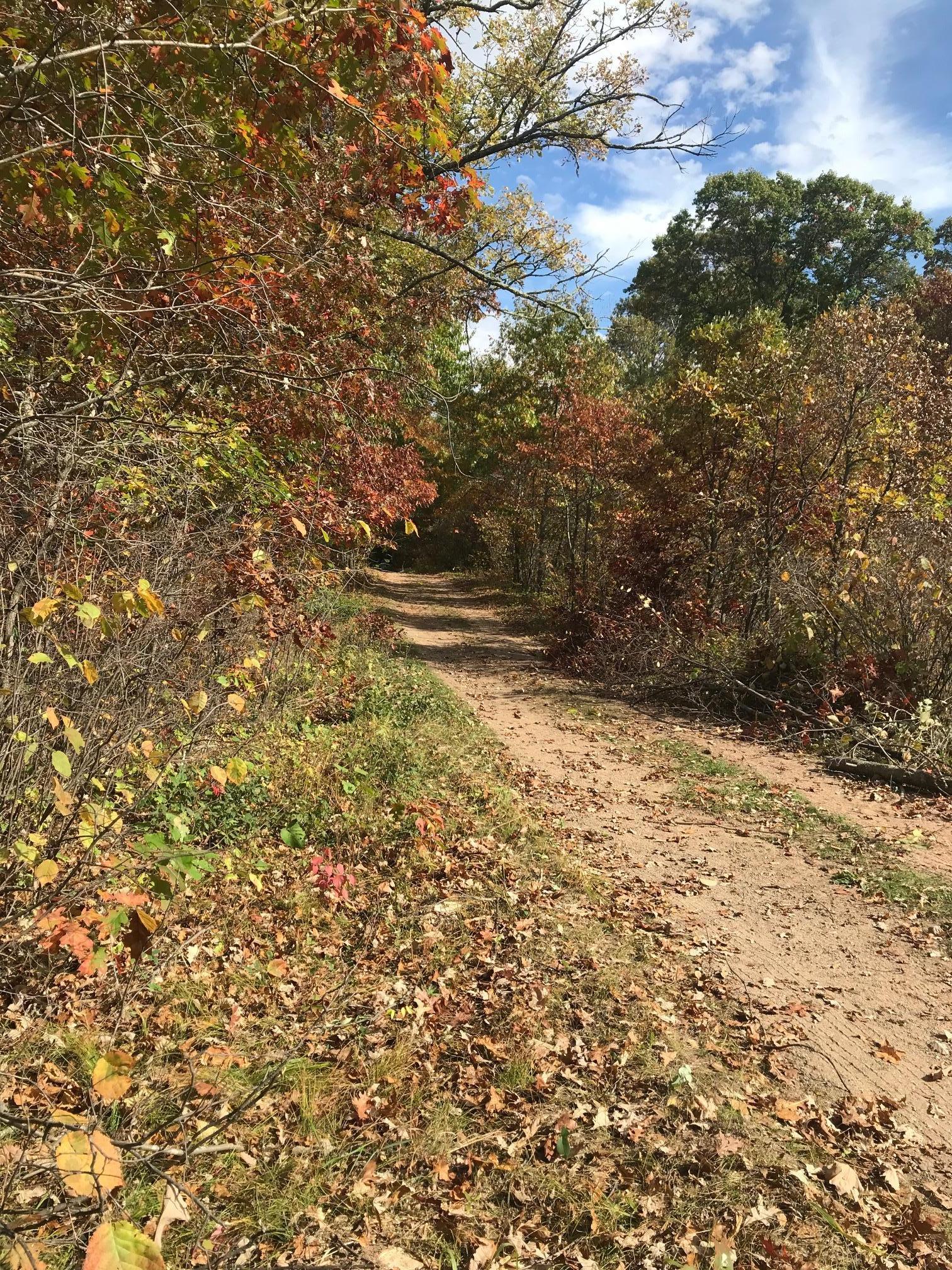 Tbd Tbd Border Point Road Crosslake, MN 56442 - Photo 2 of 10 Gallery Image 2