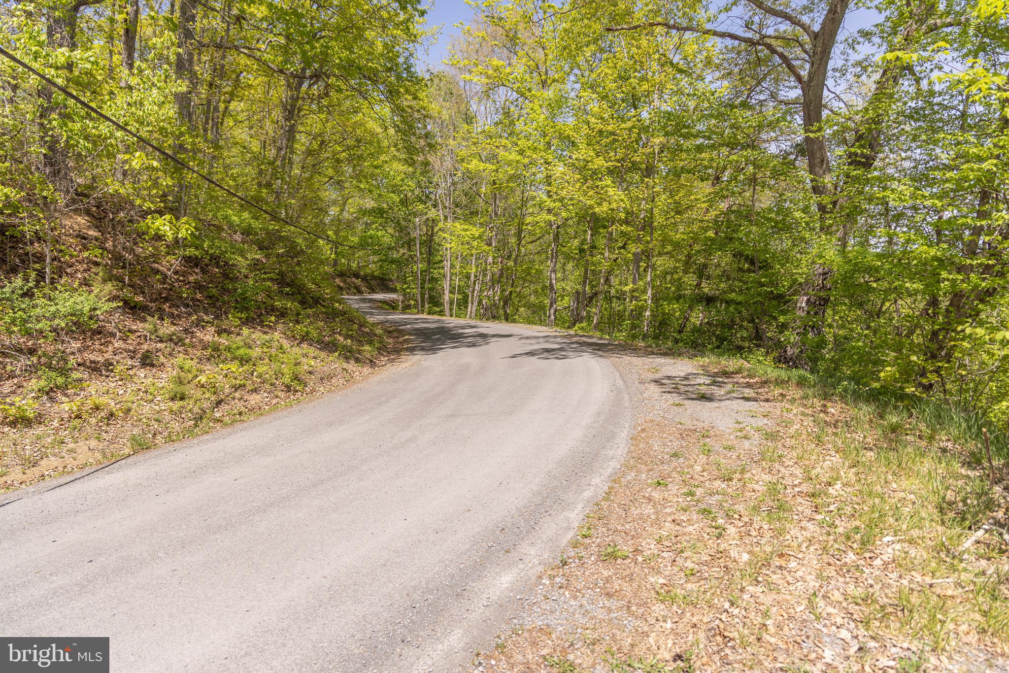 Wayside Creamery Road Wayside, WV 24985 - Photo 19 of 25 Gallery Image 19