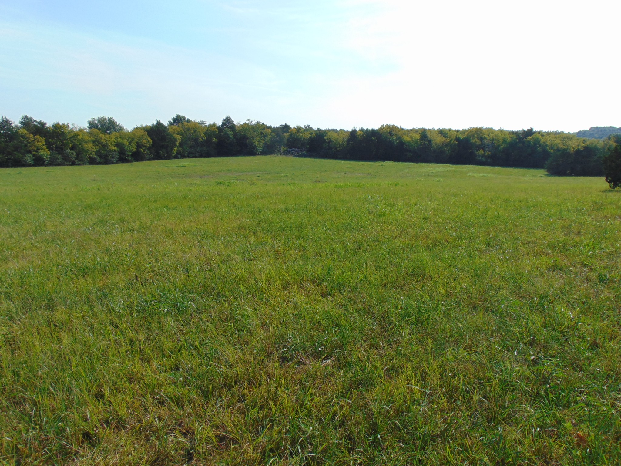 0 Ernest Campbell Road Shelbyville, TN 37160 - Photo 1 of 11 Gallery Image 1