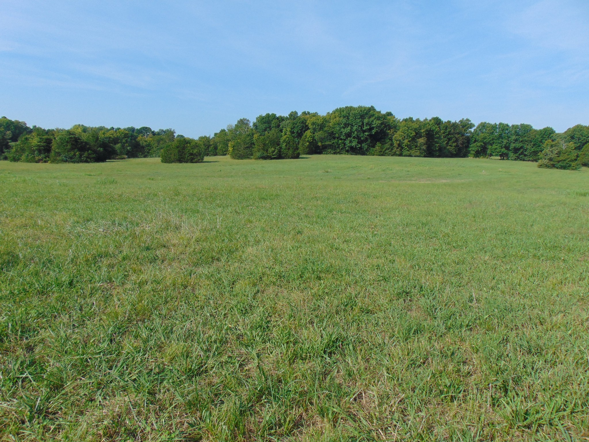 0 Ernest Campbell Road Shelbyville, TN 37160 - Photo 11 of 11 Gallery Image 11