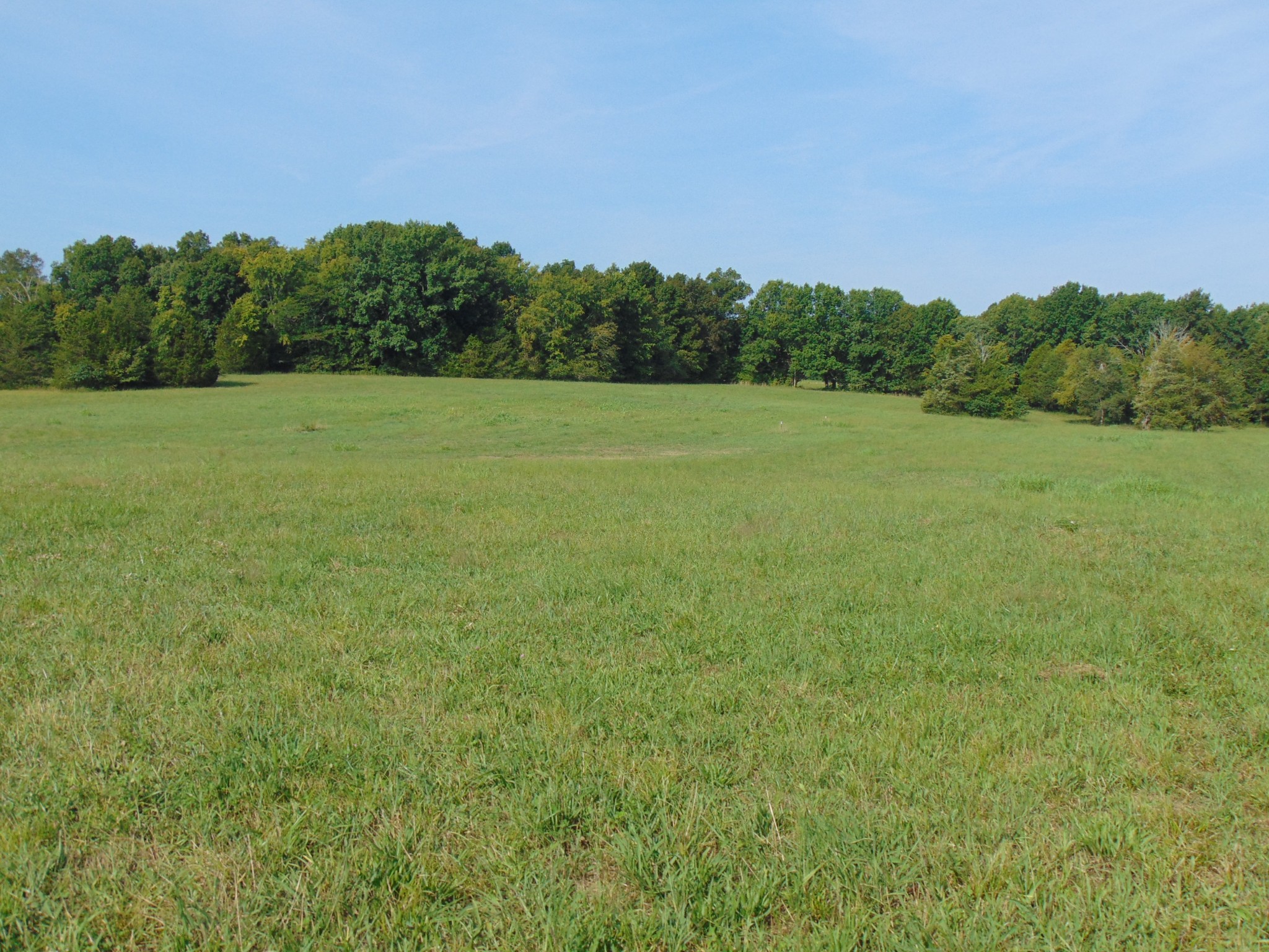 0 Ernest Campbell Road Shelbyville, TN 37160 - Photo 4 of 11 Gallery Image 4