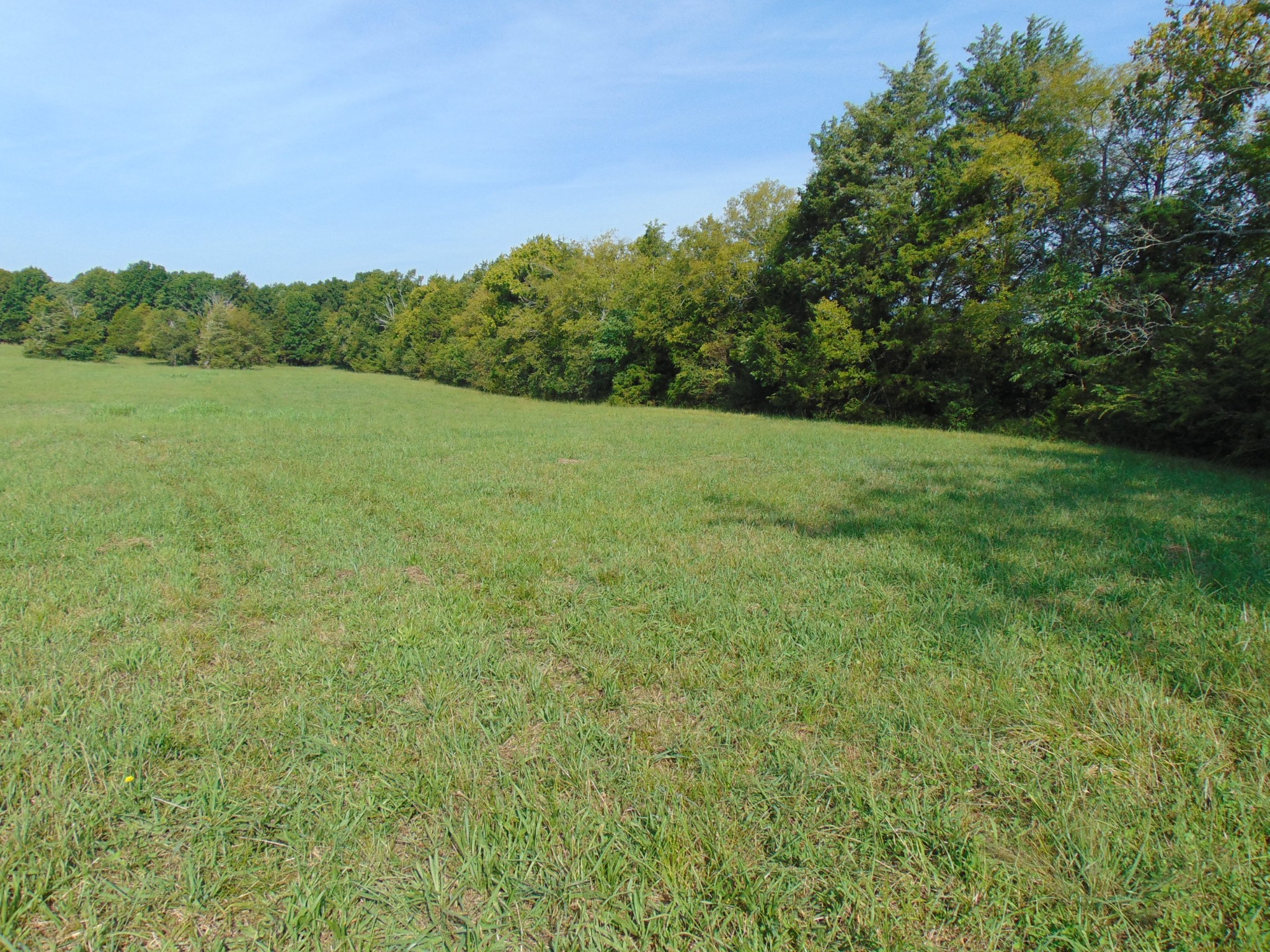 0 Ernest Campbell Road Shelbyville, TN 37160 - Photo 5 of 11 Gallery Image 5