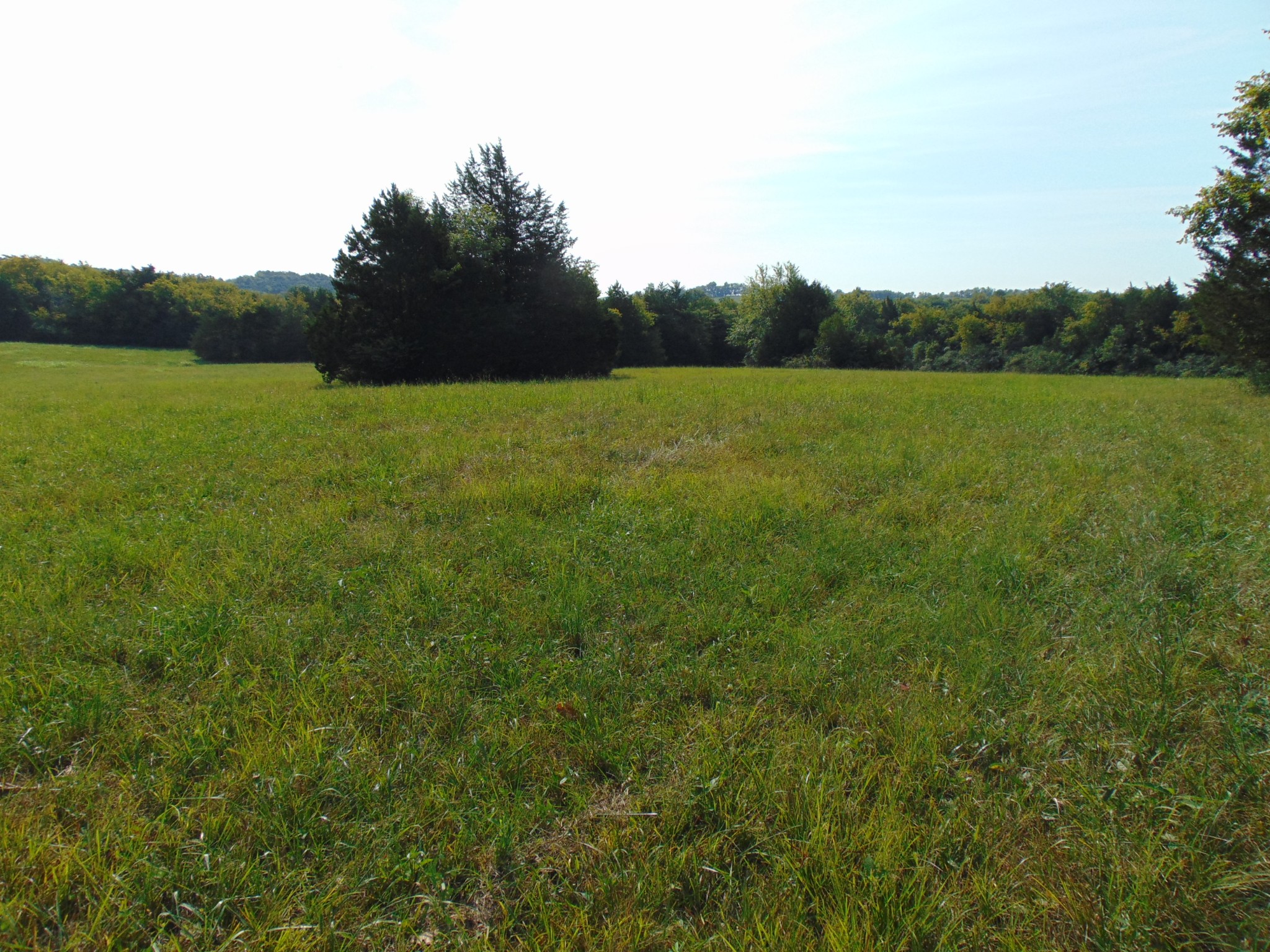 0 Ernest Campbell Road Shelbyville, TN 37160 - Photo 6 of 11 Gallery Image 6
