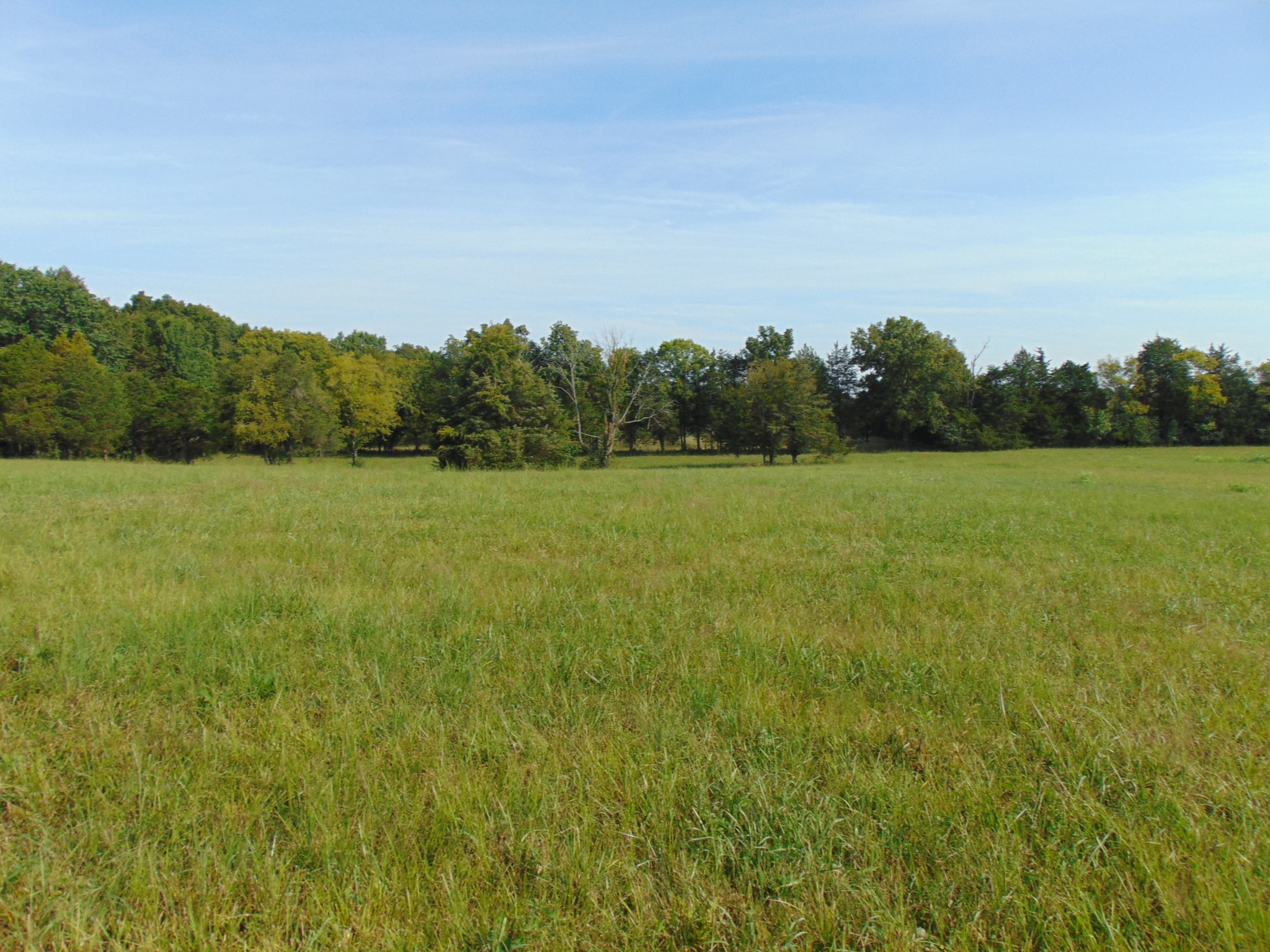 0 Ernest Campbell Road Shelbyville, TN 37160 - Photo 7 of 11 Gallery Image 7