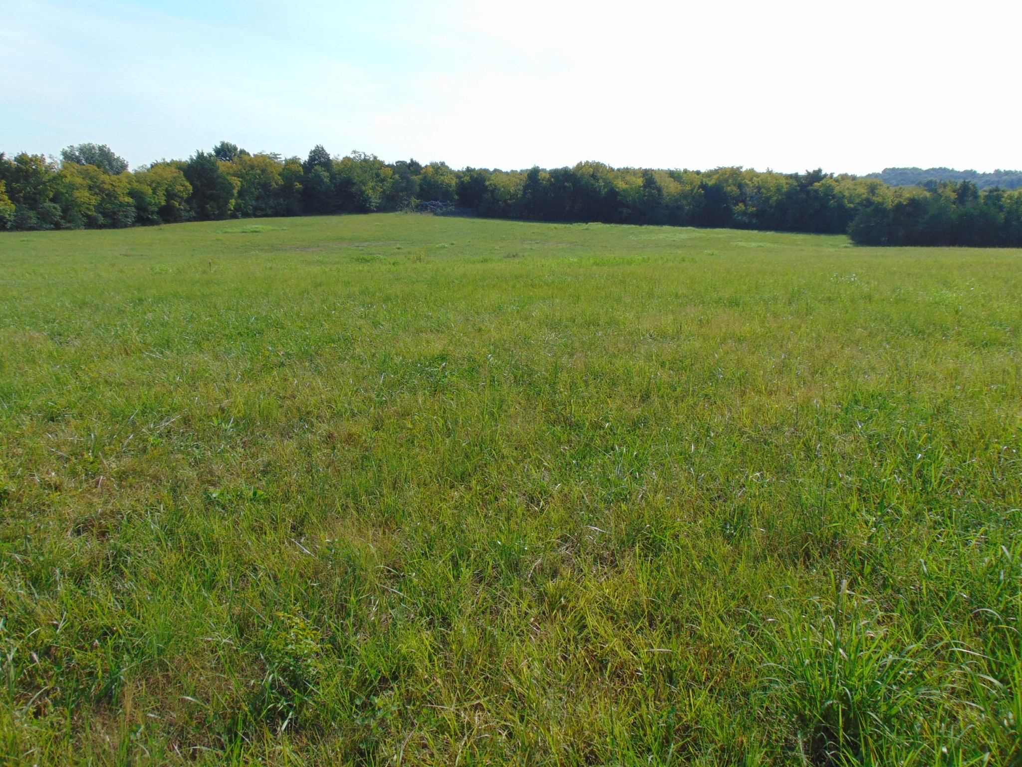 0 Ernest Campbell Road Shelbyville, TN 37160 - Photo 10 of 11 Gallery Image 10