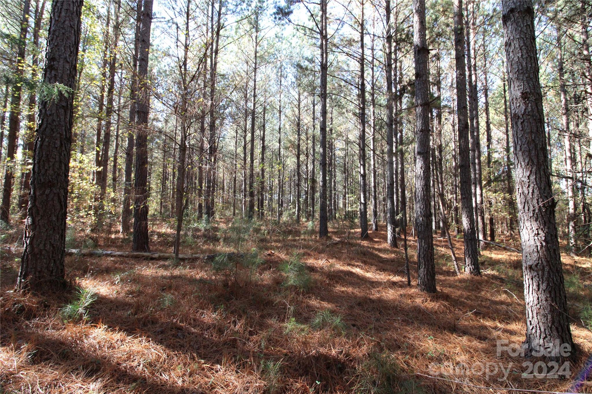 7-ac Lot 2 7-ac Road Clover, SC 29710 - Photo 2 of 7