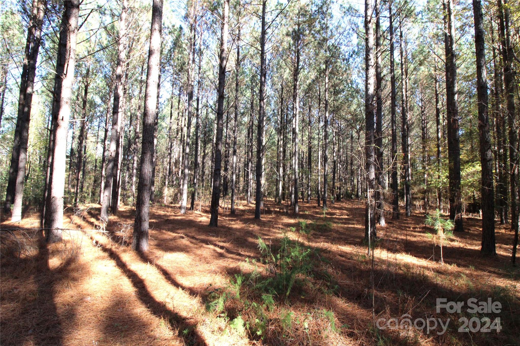 7-ac Lot 2 7-ac Road Clover, SC 29710 - Photo 3 of 7