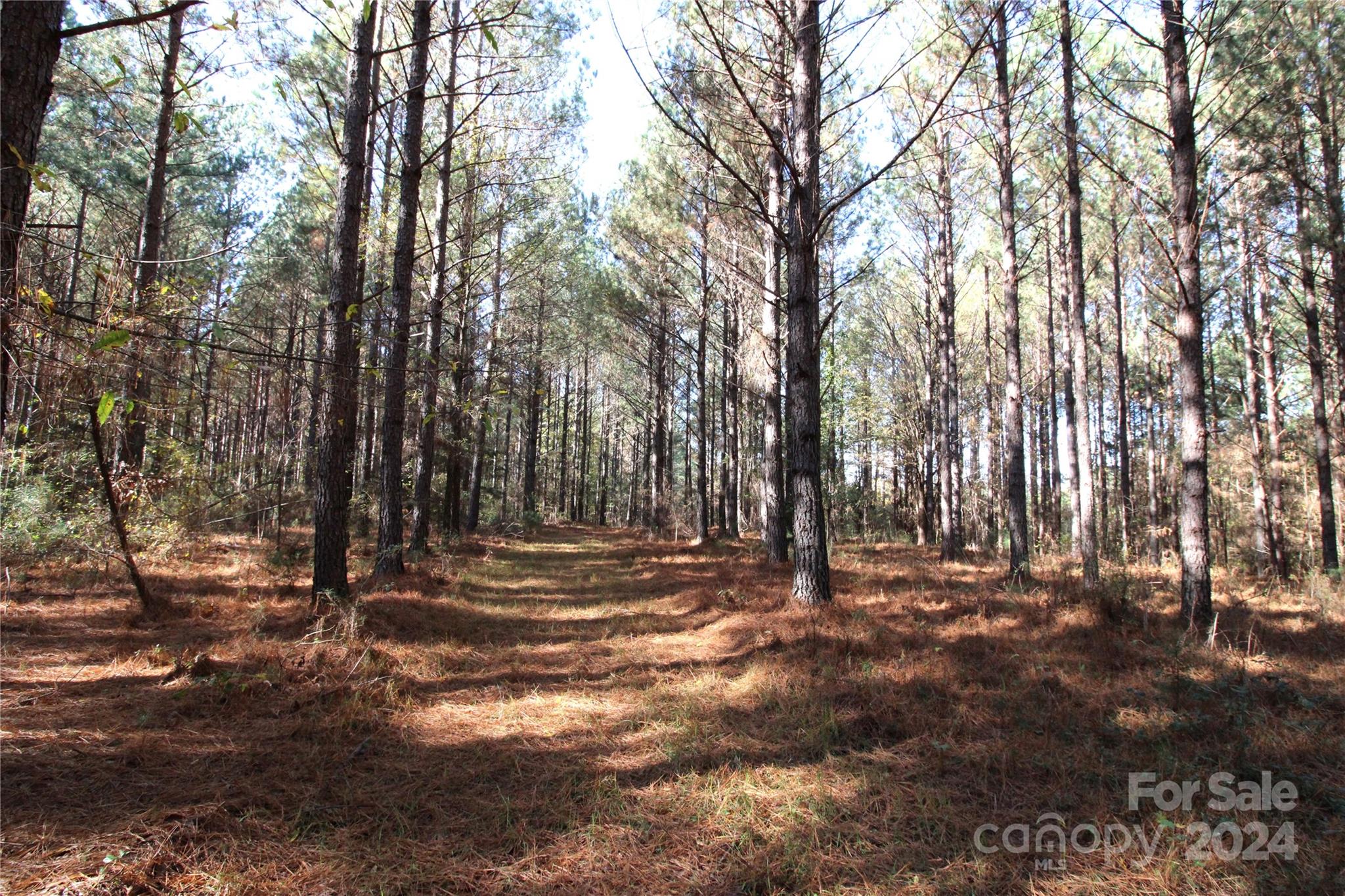 7-ac Lot 2 7-ac Road Clover, SC 29710 - Photo 4 of 7