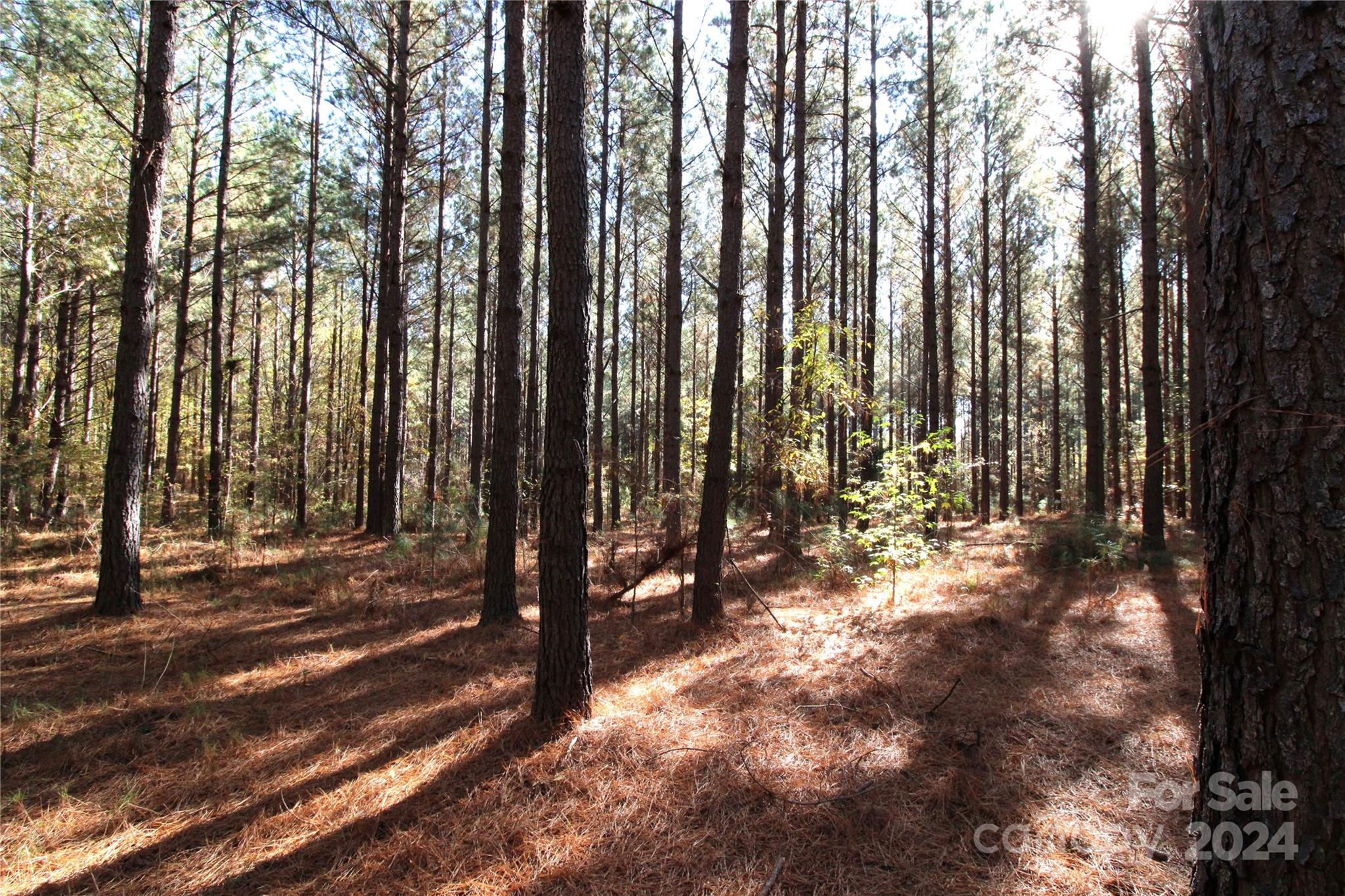 7-ac Lot 2 7-ac Road Clover, SC 29710 - Photo 5 of 7