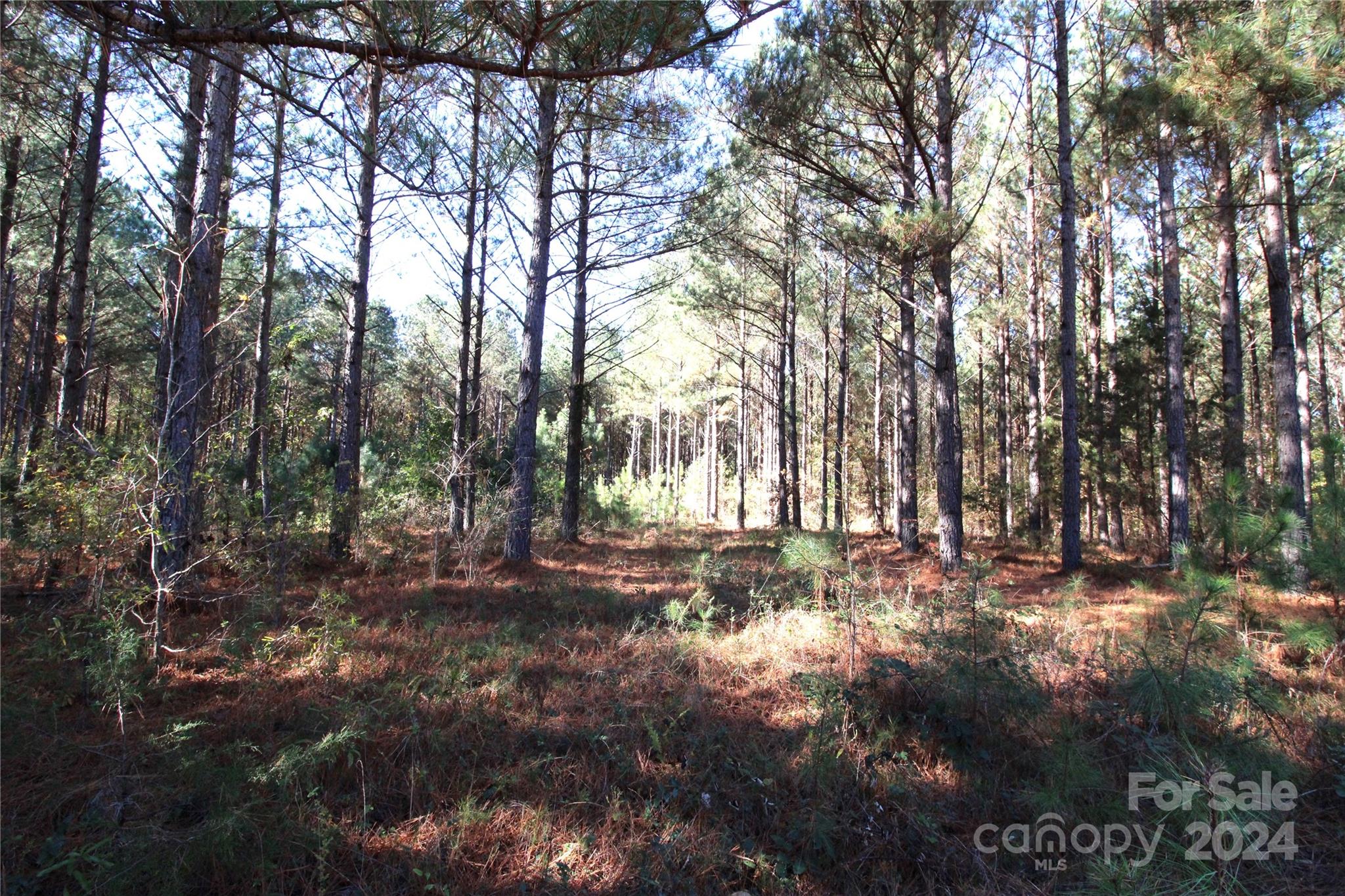 7-ac Lot 2 7-ac Road Clover, SC 29710 - Photo 6 of 7