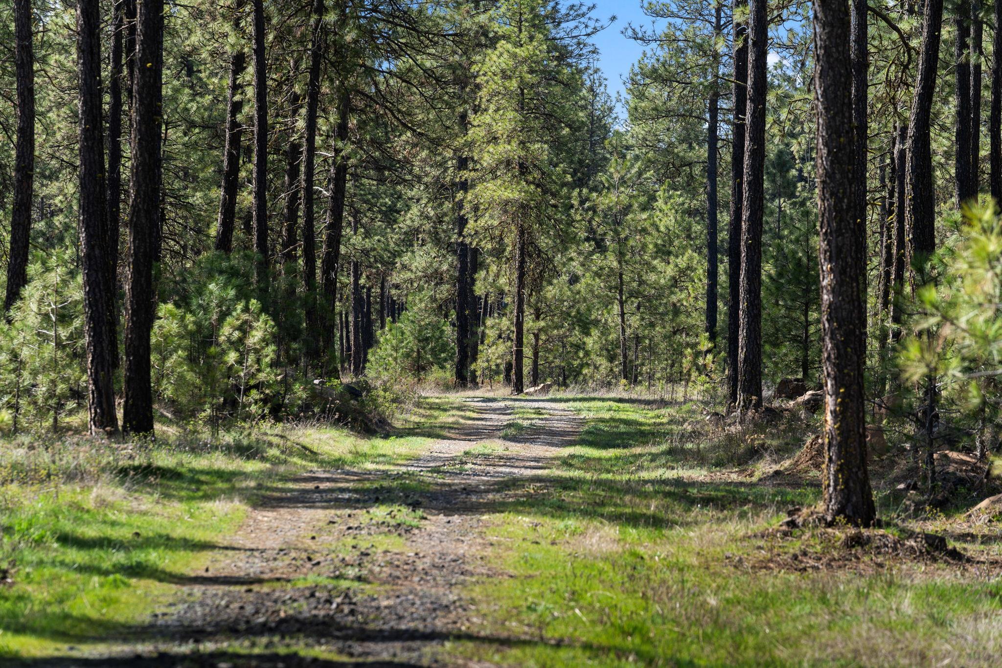 5306 West Curtis Road Cheney, WA 99004 - Photo 16 of 29