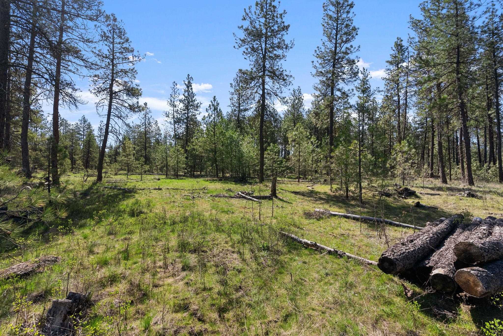 5306 West Curtis Road Cheney, WA 99004 - Photo 18 of 29