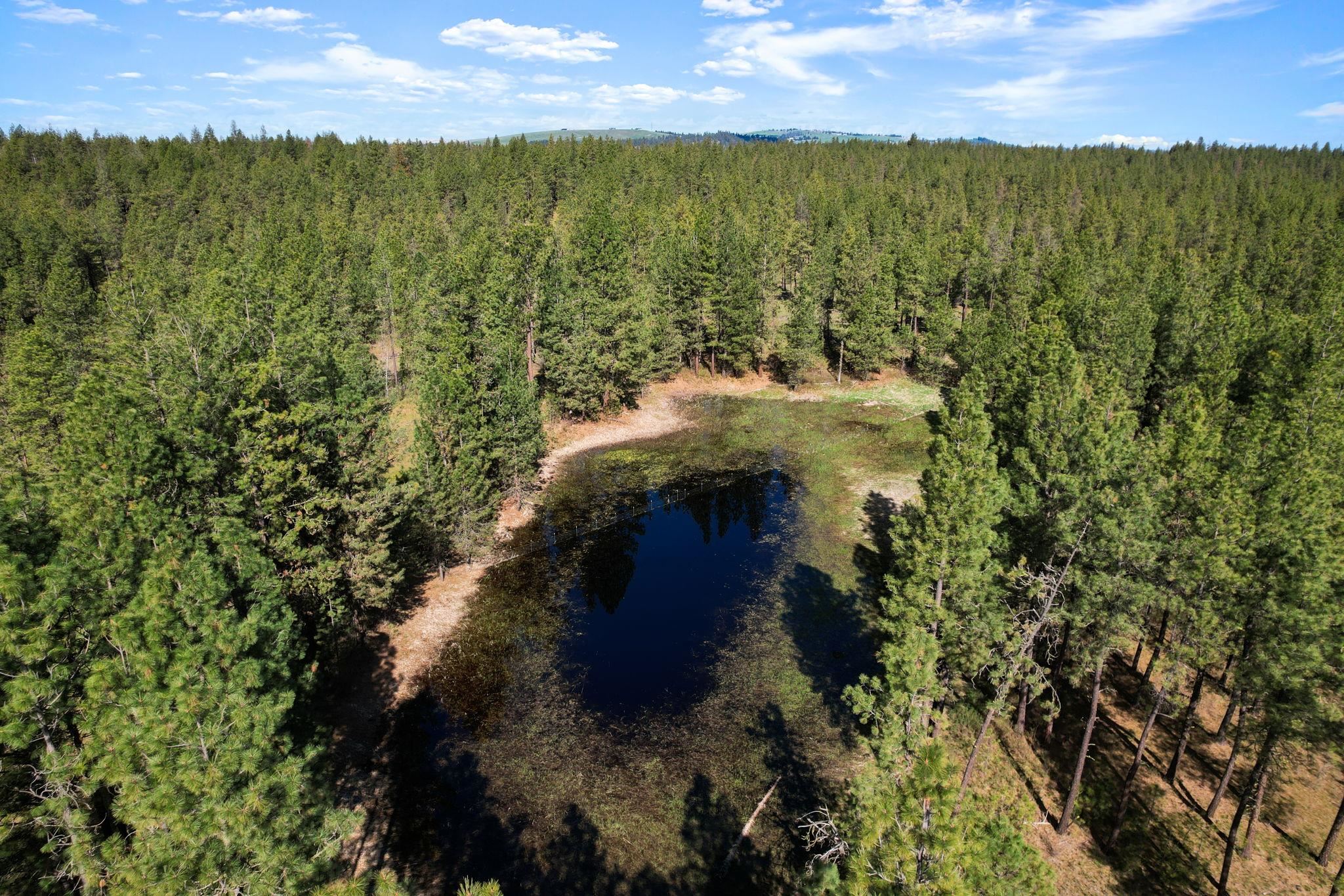 5306 West Curtis Road Cheney, WA 99004 - Photo 29 of 29