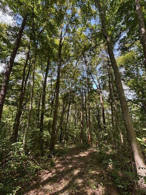 0 Us-35 Ray, OH 45672 - Photo 14 of 15 Ray Ohio Tall Trees