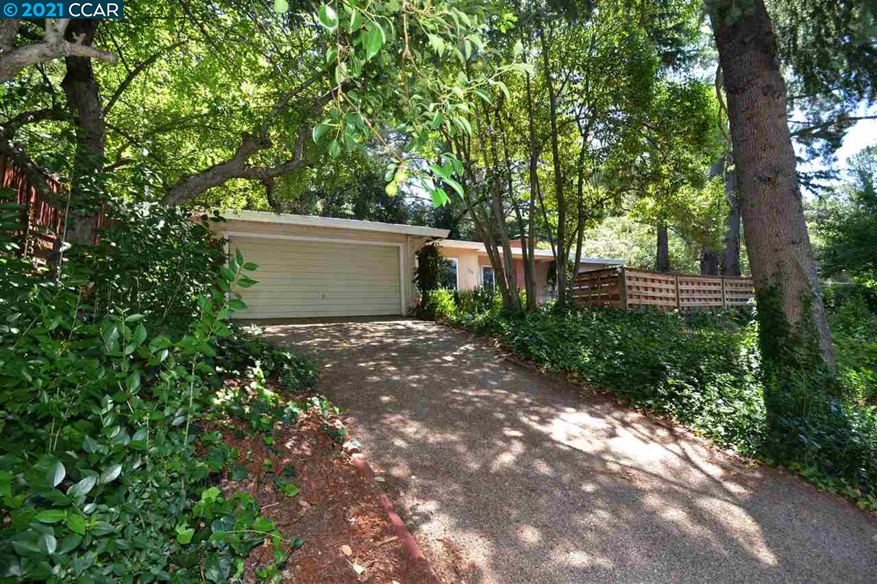 928 Janet Lane Lafayette, CA 94549 - Photo 4 of 35 a view of a plants and trees