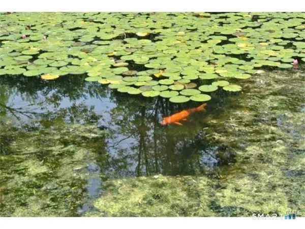 $8,000 | 38 Strawberry Ridge Road, Warren, CT 06777